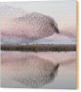 Starlings At Lake Wood Print