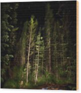 Starry Creek Wood Print
