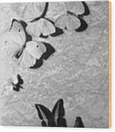 Still-life Of Butterfly Stage Props Wood Print