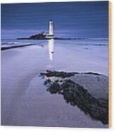 St.marys Lighthouse, Blue Hour Wood Print