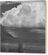 Storm Coming In Black And White Wood Print