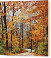 Stowe Path In Fall Colors Wood Print