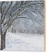 Stunning Forest Snow Winter Scene Wood Print
