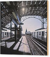 Subway Carriages Waiting For Departure Wood Print