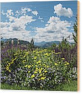 Sun Mountain Lodge Gardens And Mountain Views Photography By Omaste Witkowski Wood Print