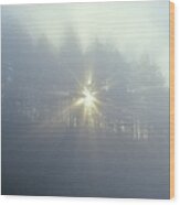 Sun Shining Through Trees And Fog Wood Print