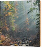 Sunbeams On The Mccloud River Wood Print
