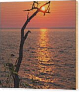Suncatcher -  Dead Tree Grasps The Rising Sun At Cave Point Park In Door County Wi Wood Print