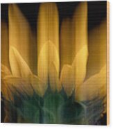Sunflower Crown Wood Print