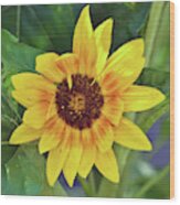 Sunflower - Sunshine On A Stem Wood Print