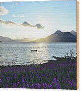 Sunny Day In Balsfjord Wood Print