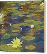 Sunny Lily Pond Wood Print