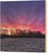 Sunrise Over A Frosted Pasture Wood Print