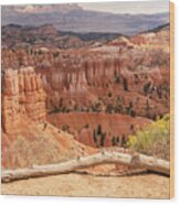 Sunrise Point  - Bryce Canyon - Utah Wood Print