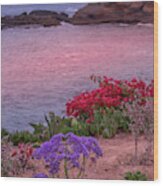 Sunset Beach Flowers Wood Print