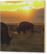Sunset On The Plains Of Colorado Wood Print