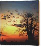 Sunset On The Zambezi Wood Print