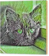 Super Cool Black Cat Green Eyes Wood Print