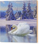 Swan Winter Wood Print