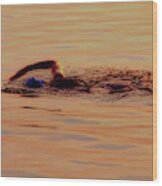 Swimmer 1 Chicago Triathlon Swimmer At Sunrise Lake Michigan Wood Print
