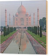 Taj Mahal At Dawn India Wood Print