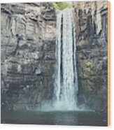 Taughannock Falls Wood Print