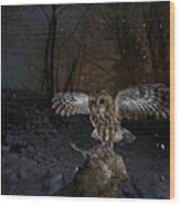 Tawny Owl Red In A Snow Storm Wood Print