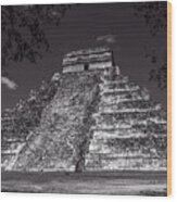 Temple Of Kukulcan Black And White Wood Print
