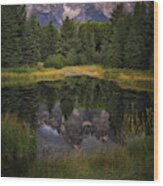 Teton Reflection Wood Print