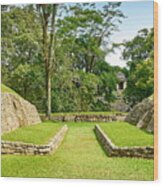 The Ball Court, Palenque Archaeological Wood Print