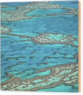 The Big Reef, Whitsunday Islands Wood Print