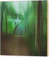 The Blured Forest Path.. Wood Print
