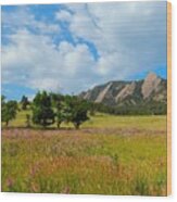 The Boulder Flatirons Wood Print