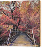 The Bridge To Ben Nevis In Autumn Wood Print