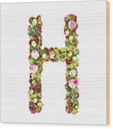 The Capital Letter H Wood Print