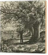 The Connecticut Wood Print