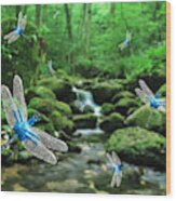 The Dance Of Dragonflies Wood Print