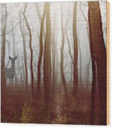 The Deer In The Fog By Joni Eskridge Wood Print
