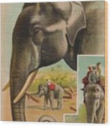 The Elephant Circa 1900 Wood Print