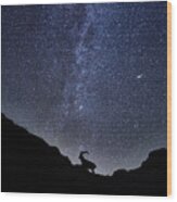 The Ibex And The Milky Way Wood Print