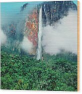 The Jungle Surrounds Angel Falls And Tropical Rainforest Canaima Np Venezuela Wood Print