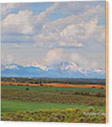 The La Sals Seen From The Dove Creek Area Wood Print