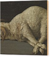 The Lamb Of God, Agnus Dei Wood Print