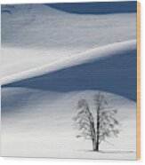 Lone Tree In Yellowstone During Winter Wood Print