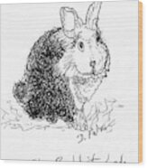 The Rabbit Lady Drawing Wood Print