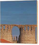 The Roman Aqueduct Of Beja Wood Print