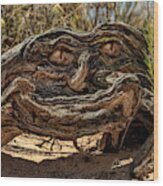 The Smiling Driftwood Wood Print