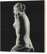 The Venus De Milo Detail Of A Sculpture Depicting Aphrodite In Marble Wood Print