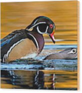 The Wood Duck Factory. Wood Print