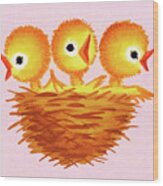 Three Chicks In A Nest Wood Print